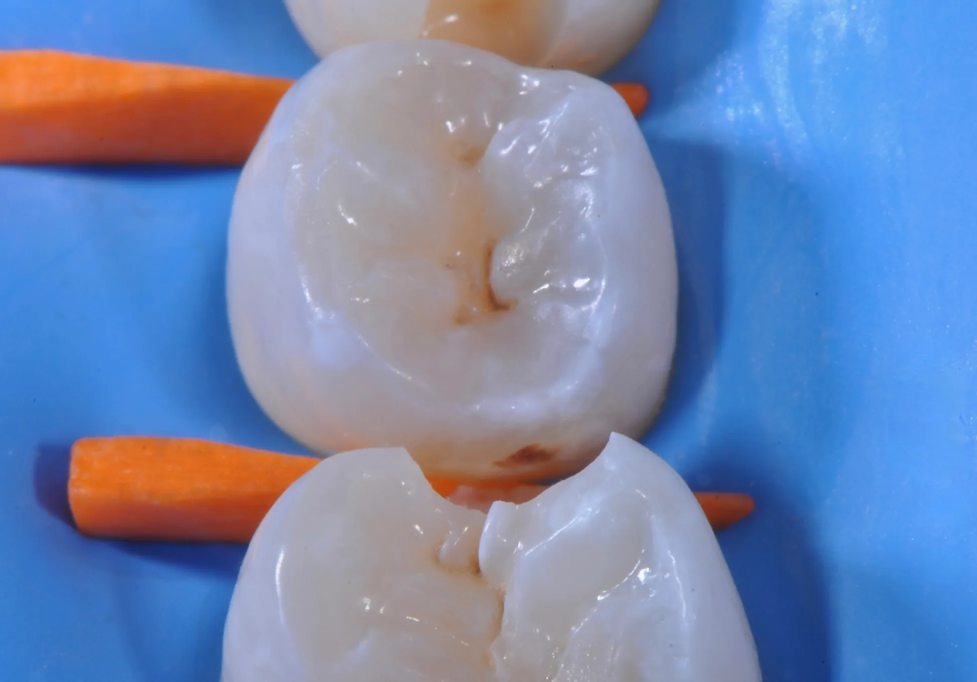 Conservativa Diretta